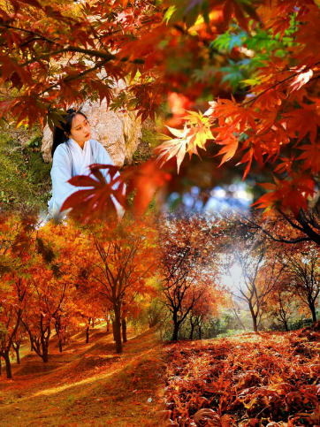 微信图片_20231101123435.png 微信图片_20231101123435.png