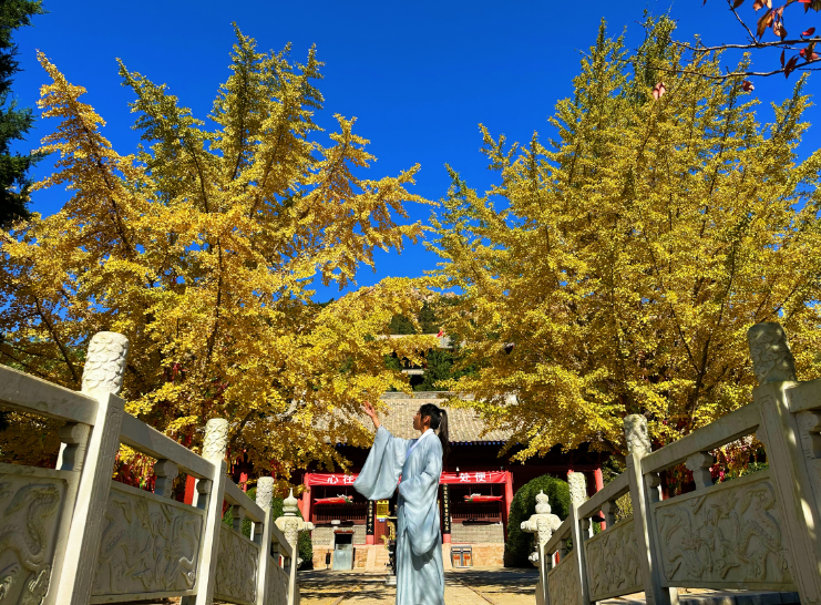 微信图片_20231120195453.png 微信图片_20231120195453.png