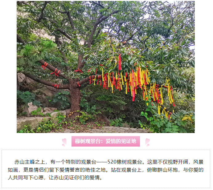 微信图片_20240527111539.png