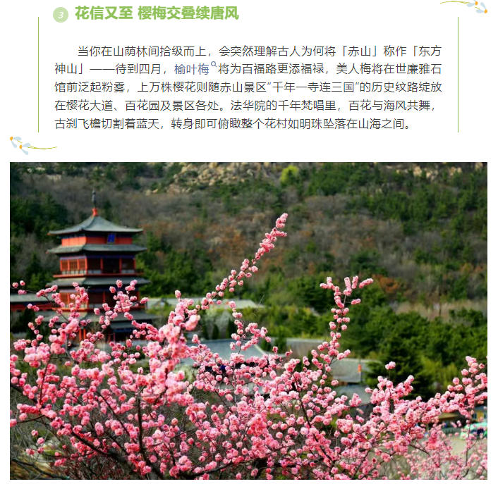 微信图片_20250404080637.png
